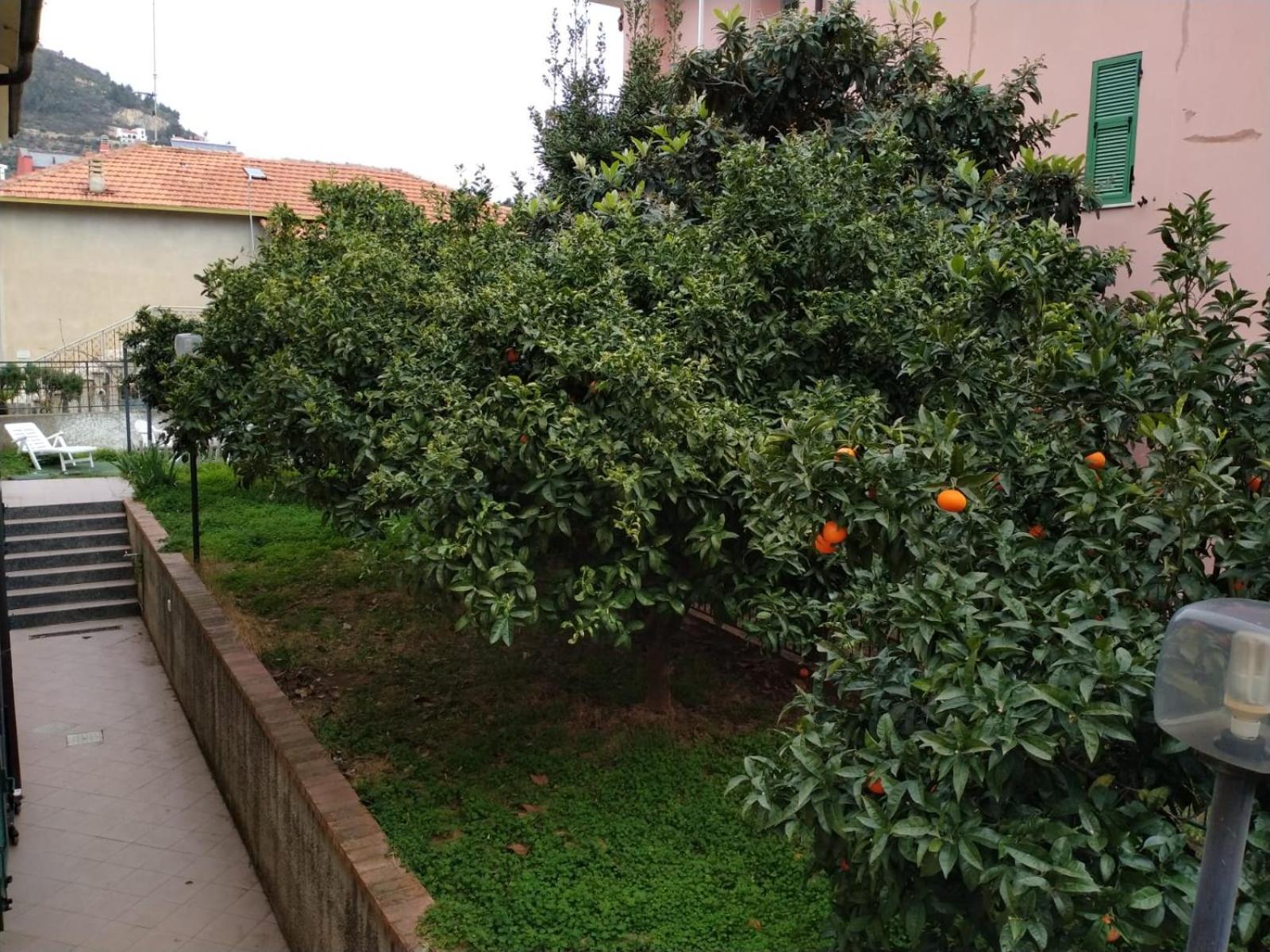 Villa La Casa Di Cri Al Mare Due Borgio Verezzi Exterior foto